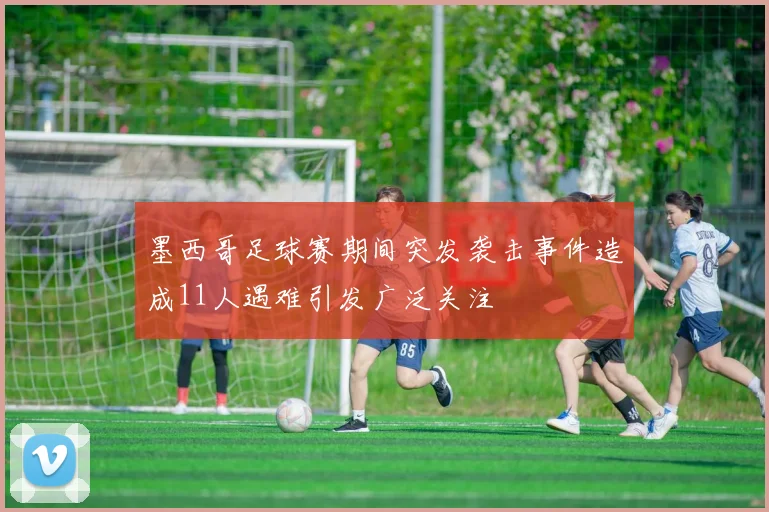 墨西哥足球赛期间突发袭击事件造成11人遇难引发广泛关注