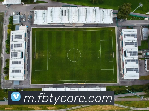 FB体育APP 封面图